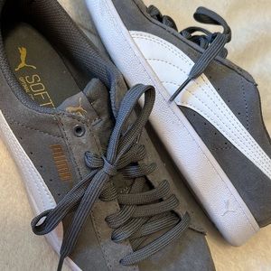 Grey pumas